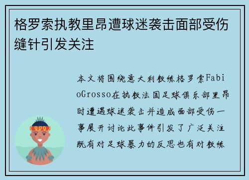格罗索执教里昂遭球迷袭击面部受伤缝针引发关注 格罗索执教里昂遭球迷袭击面部受伤缝针引发关注